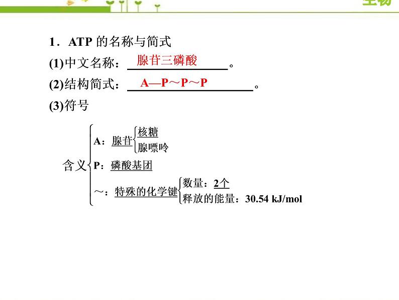 （新）人教版高中生物必修1教学课件：5-2细胞的能量“货币”ATP07