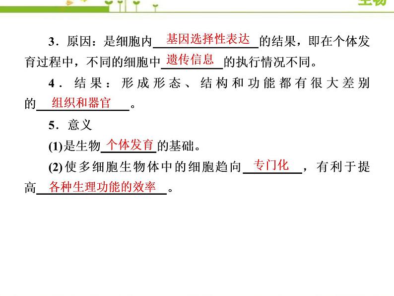 （新）人教版高中生物必修1教学课件：6-2细胞的分化07