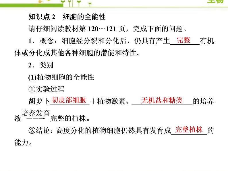 （新）人教版高中生物必修1教学课件：6-2细胞的分化08