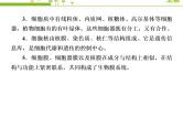 （新）人教版高中生物必修1教学课件：章末整合提升3　细胞的基本结构