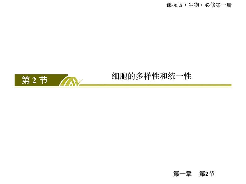 （新）人教版高中生物必修1教学课件：1-2细胞的多样性和统一性第2页