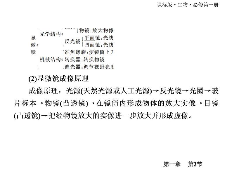 （新）人教版高中生物必修1教学课件：1-2细胞的多样性和统一性第7页