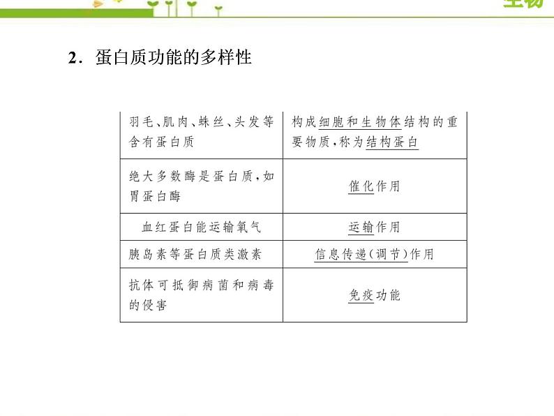 （新）人教版高中生物必修1教学课件：2-4蛋白质是生命活动的主要承担者第6页