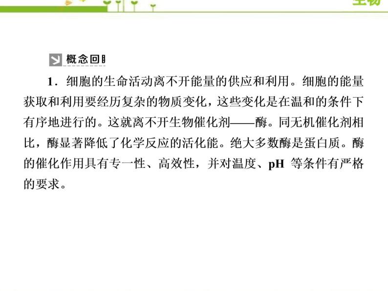 （新）人教版高中生物必修1教学课件：章末整合提升5　细胞的能量供应和利用03