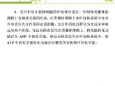 （新）人教版高中生物必修1教学课件：章末整合提升5　细胞的能量供应和利用