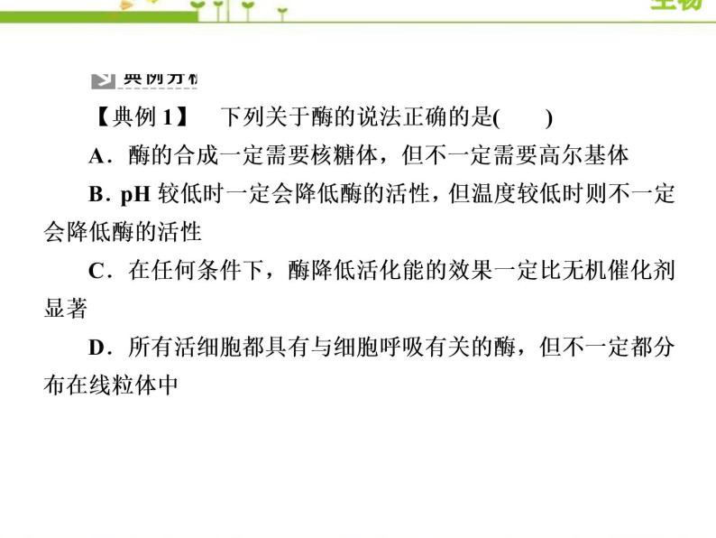 （新）人教版高中生物必修1教学课件：章末整合提升5　细胞的能量供应和利用06