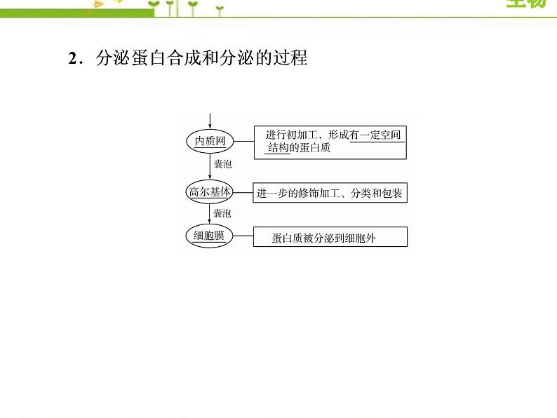 （新）人教版高中生物必修1教学课件：3-2-2细胞器之间的协调配合第7页