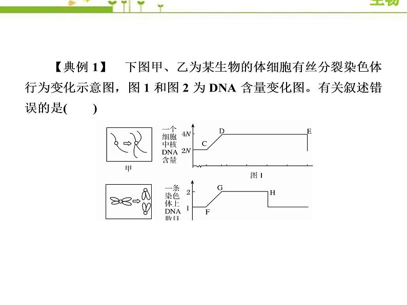 （新）人教版高中生物必修1教学课件：章末整合提升6　细胞的生命历程05