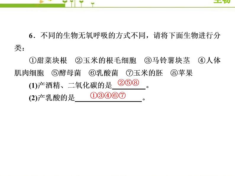 （新）人教版高中生物必修1教学课件：5-3-2无氧呼吸及细胞呼吸原理的应用08