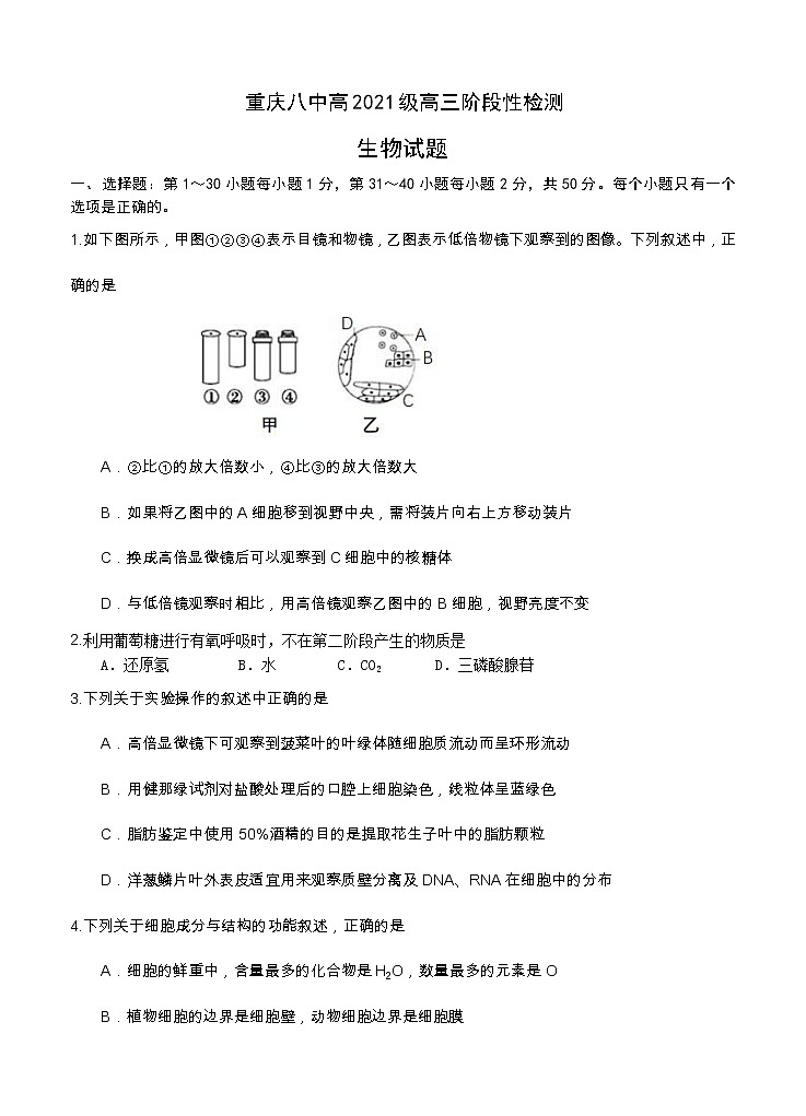重庆八中2021届高三上学期阶段性检测 生物（含答案）01