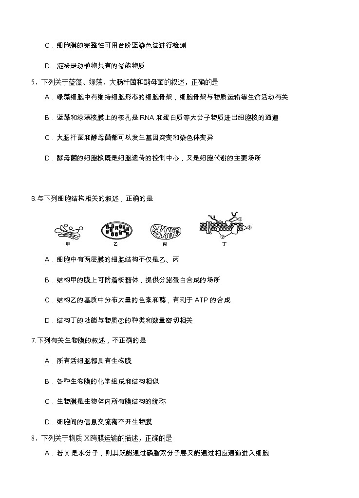 重庆八中2021届高三上学期阶段性检测 生物（含答案）02