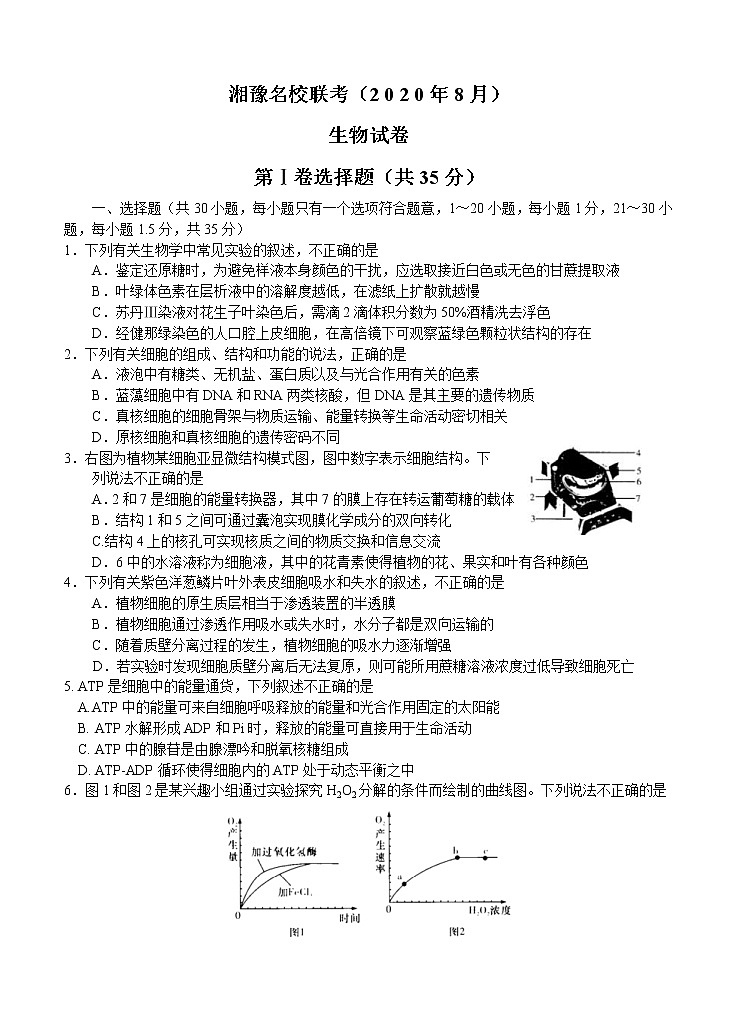 湘豫名校2021届高三8月联考 生物（含答案） 试卷01