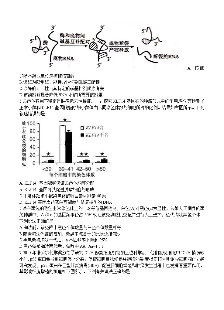 山东省日照市2021届高三上学期9月校际联考 生物（含答案） 试卷02
