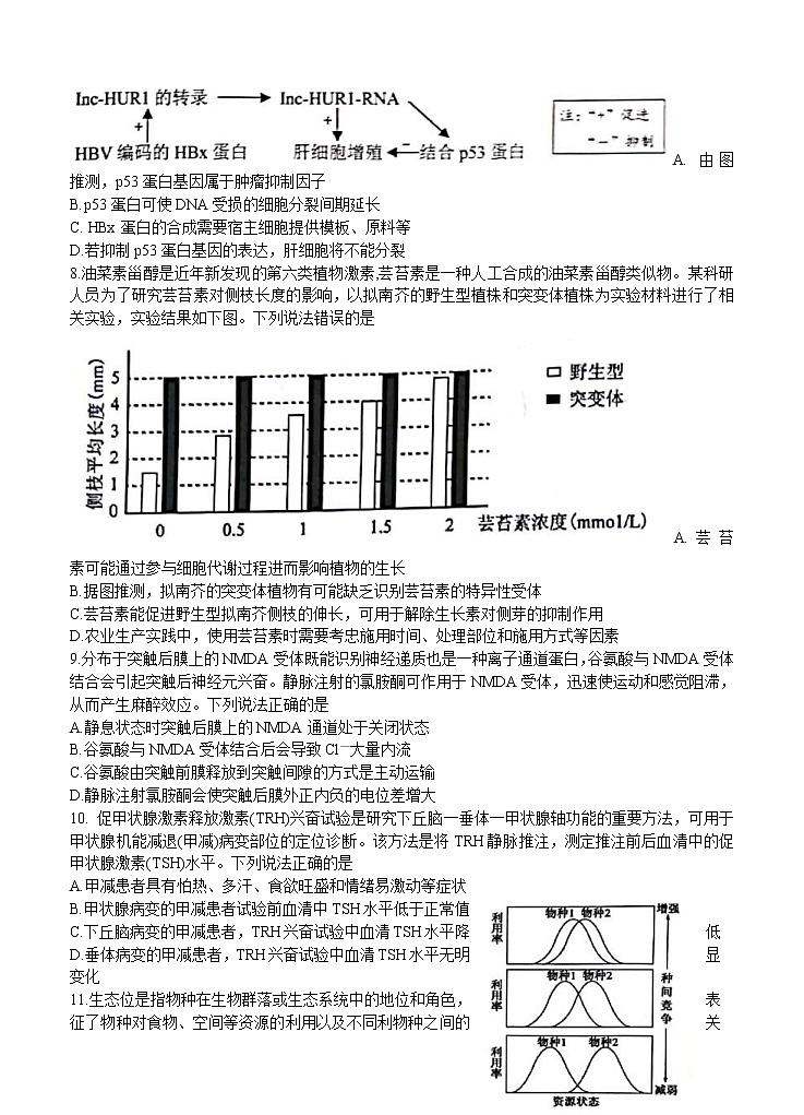 山东省日照市2021届高三上学期9月校际联考 生物（含答案） 试卷03