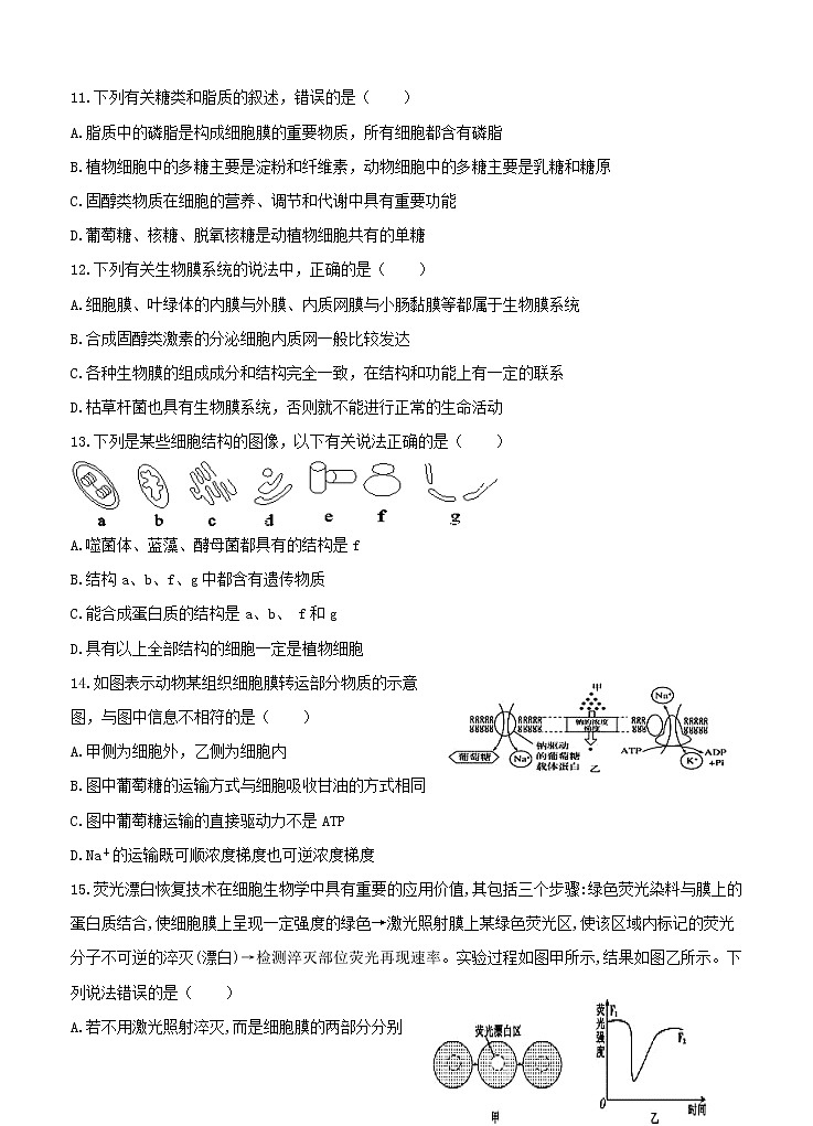 黑龙江省牡丹江市第一高级中学2021届高三上学期开学考试 生物（含答案）03