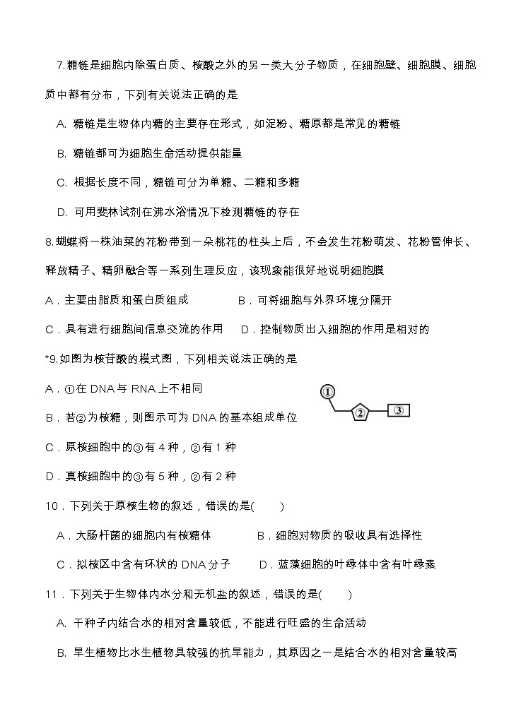 福建省泰宁第一中学2020届高三上学期第一阶段考试 生物（含答案）03