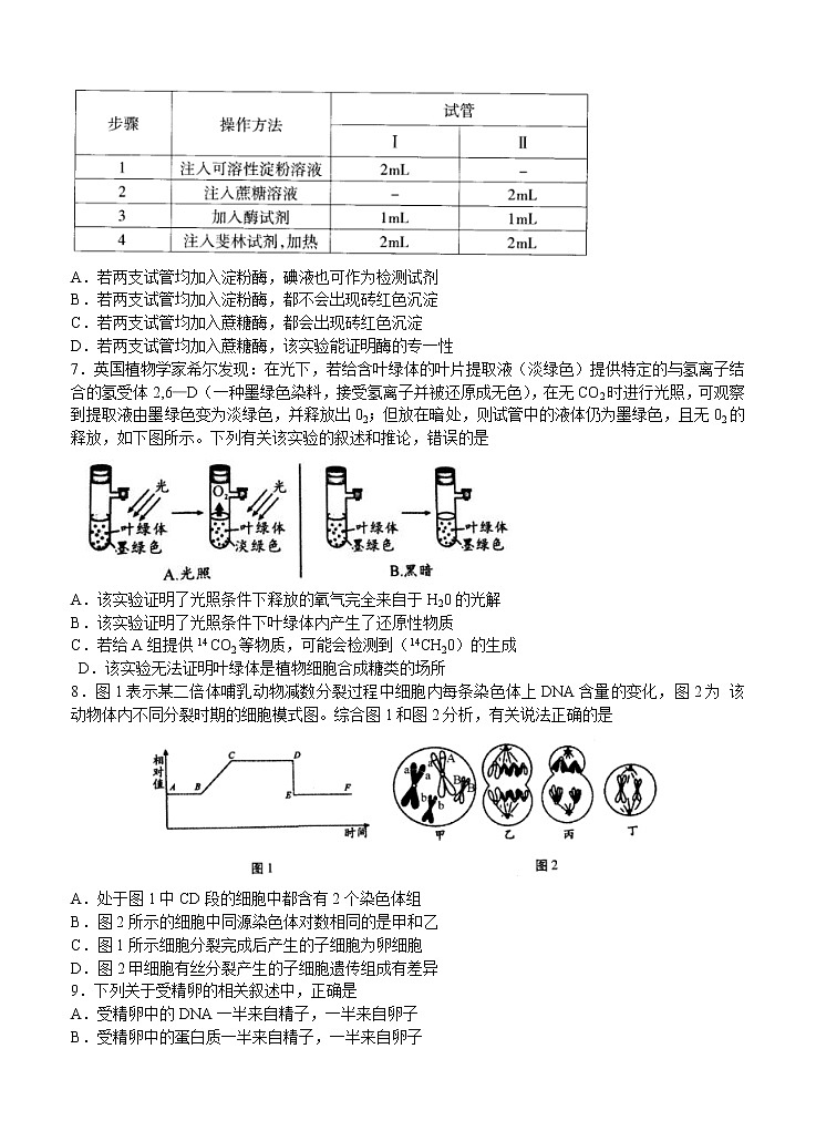 安徽省合肥市2021届高三上学期调研性检测 生物（含答案）02