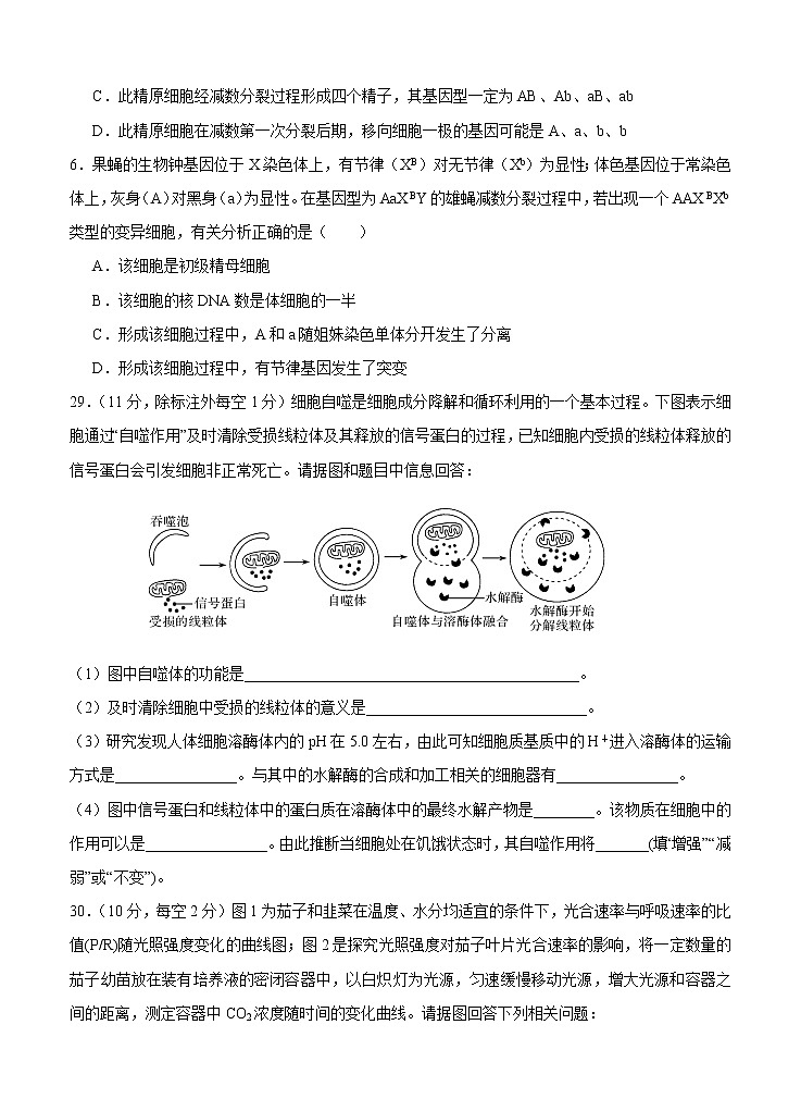 四川省江油中学2021届高三上学期开学考试 理综生物 （含答案）02