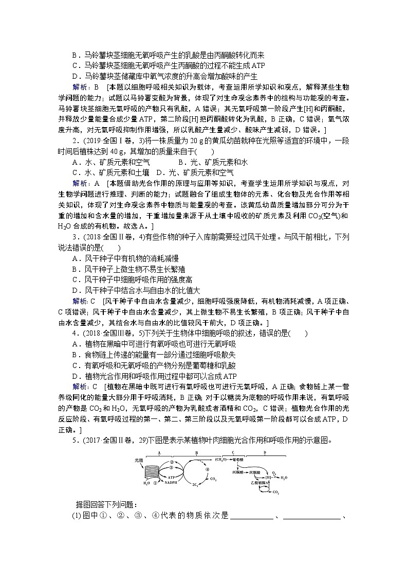 2020届高考生物二轮教师用书：第4讲　细胞呼吸与光合作用第3页