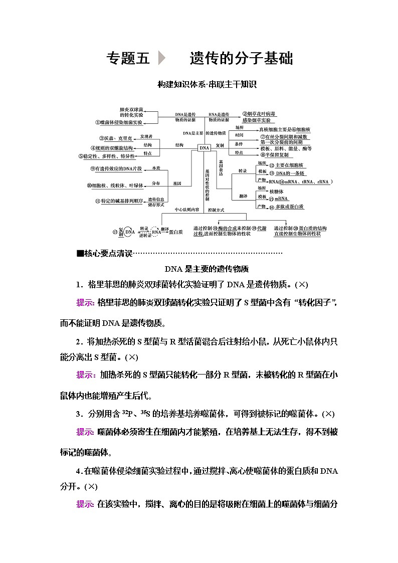 2020新课标高考生物二轮复习教师用书：第1部分专题5　遗传的分子基础01