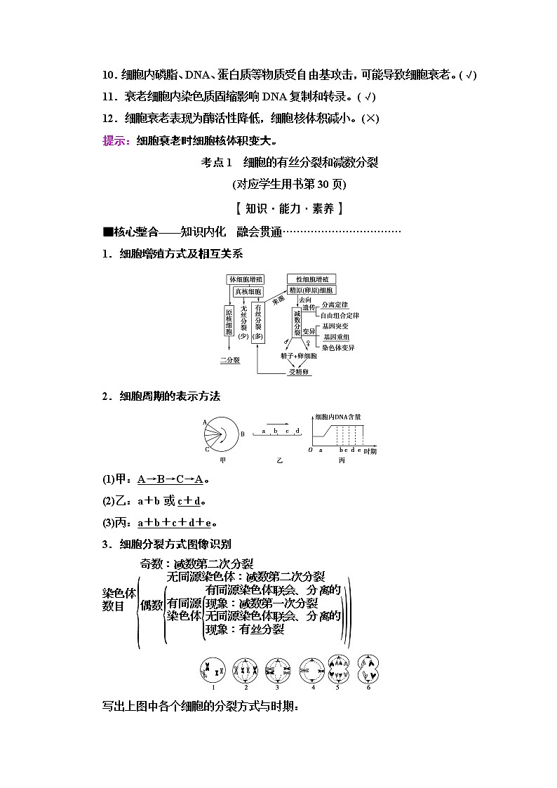2020新课标高考生物二轮教师用书：第1部分专题4　细胞的生命历程03