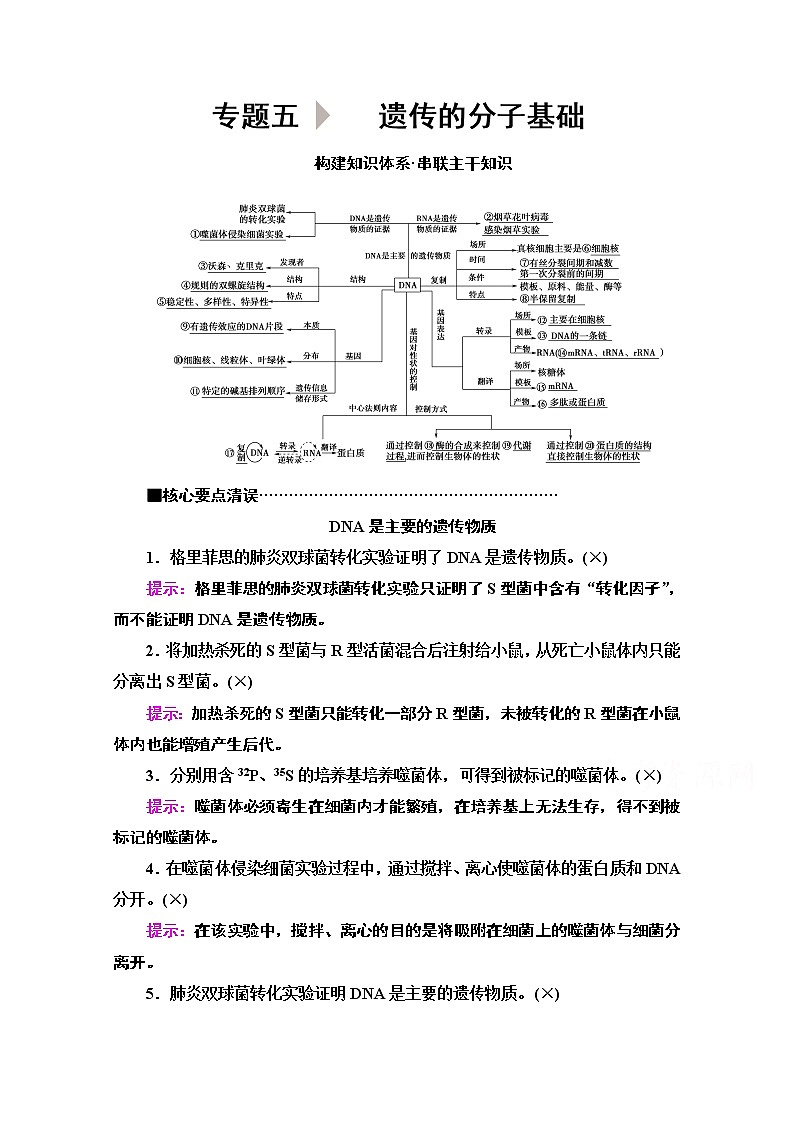 2020新课标高考生物二轮教师用书：第1部分专题5　遗传的分子基础01
