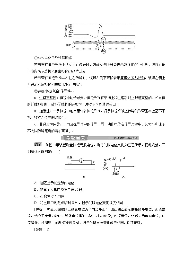 2020浙江高考生物二轮讲义：第12讲　神经调节03