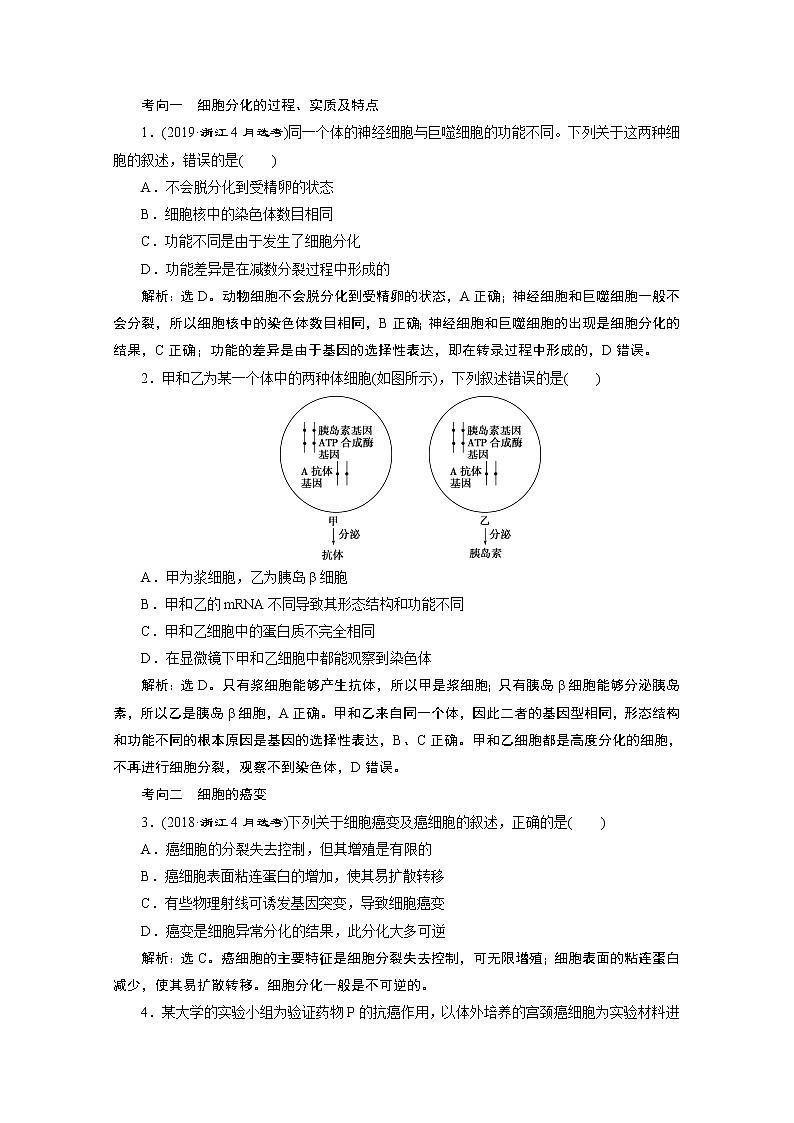 2020浙江高考生物二轮讲义：第6讲　细胞的分化、衰老与凋亡第3页