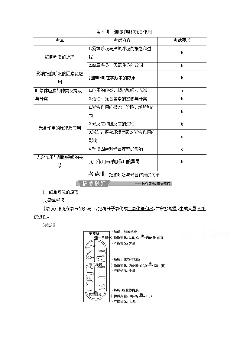 2020浙江高考生物二轮讲义：第4讲　细胞呼吸和光合作用第1页