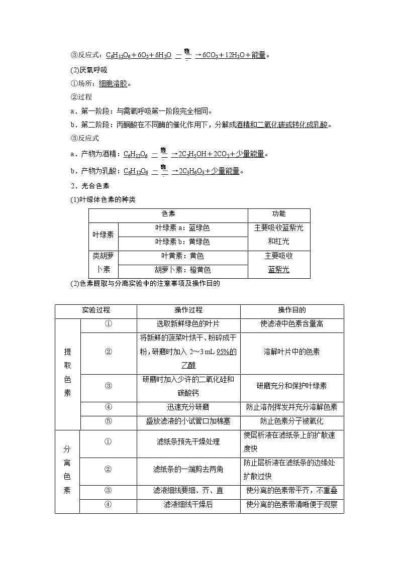 2020浙江高考生物二轮讲义：第4讲　细胞呼吸和光合作用第2页
