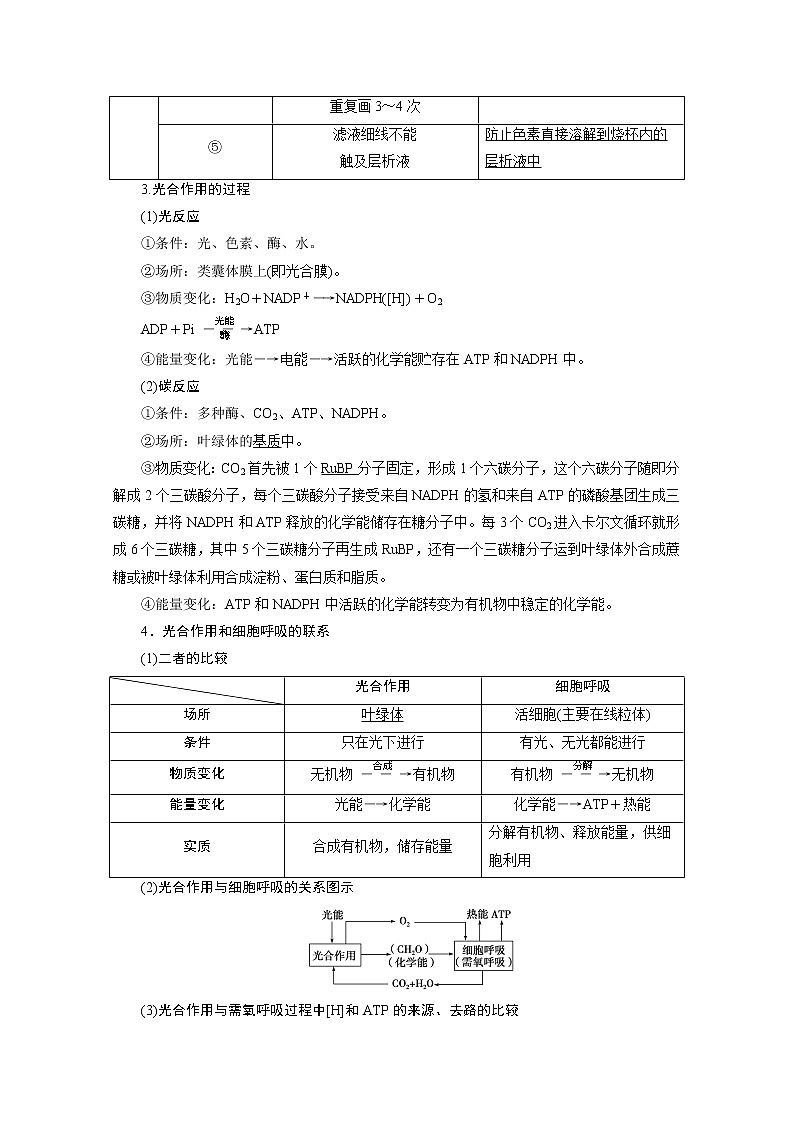2020浙江高考生物二轮讲义：第4讲　细胞呼吸和光合作用第3页