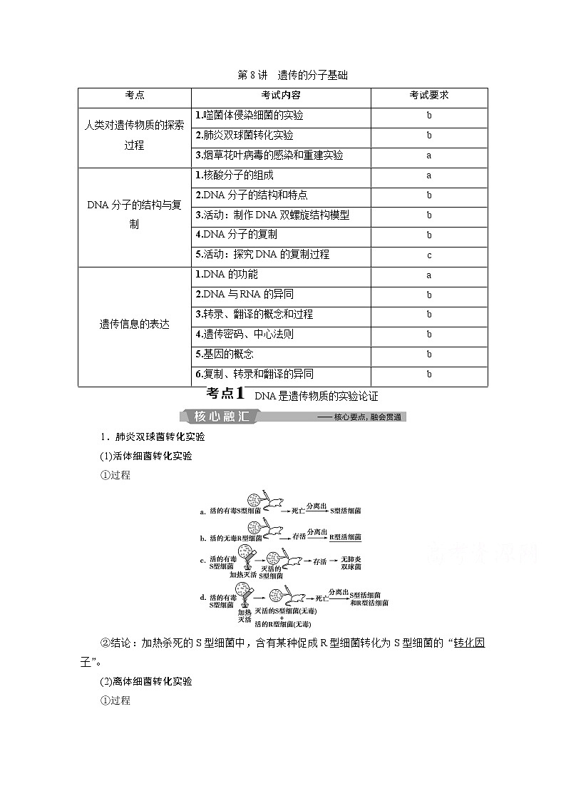 2020浙江高考生物二轮讲义：第8讲　遗传的分子基础01
