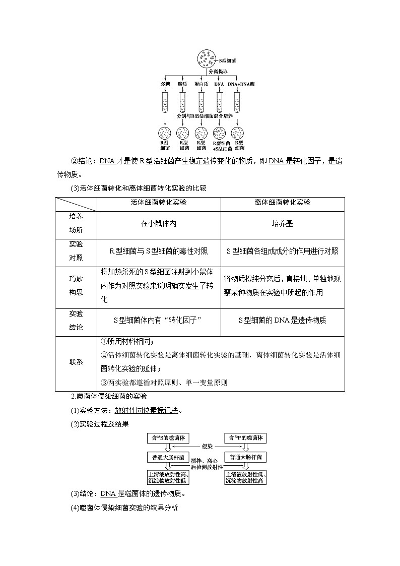 2020浙江高考生物二轮讲义：第8讲　遗传的分子基础02