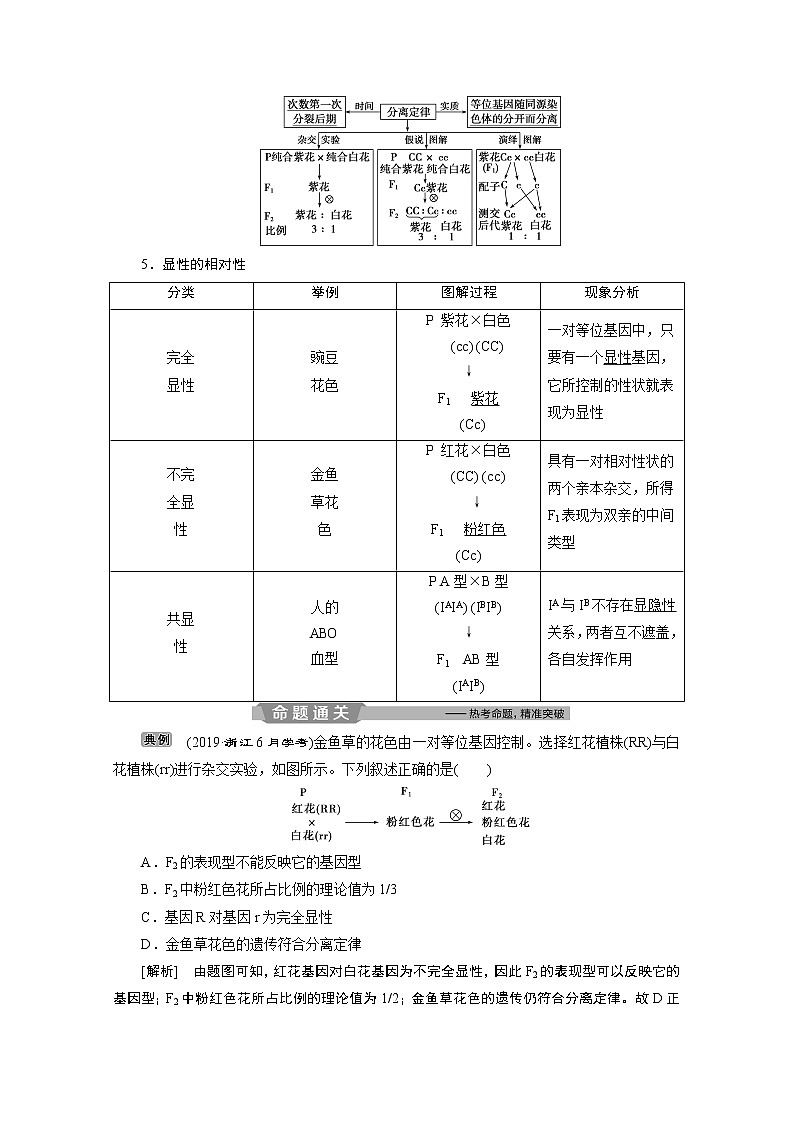 2020浙江高考生物二轮讲义：第7讲　孟德尔定律、伴性遗传和人类遗传病03
