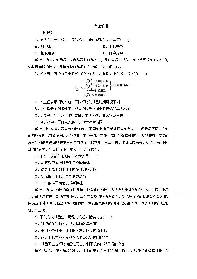 2020浙江高考生物二轮课后作业：第6讲　细胞的分化、衰老与凋亡第1页