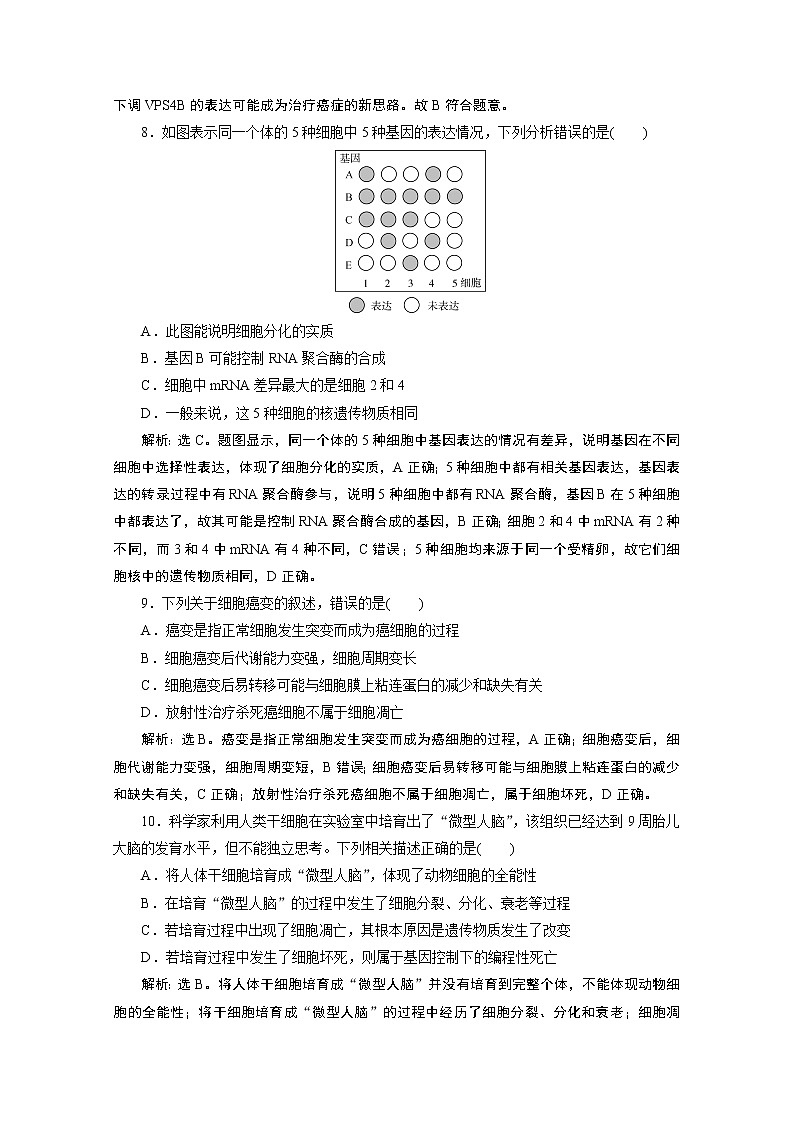 2020浙江高考生物二轮课后作业：第6讲　细胞的分化、衰老与凋亡第3页