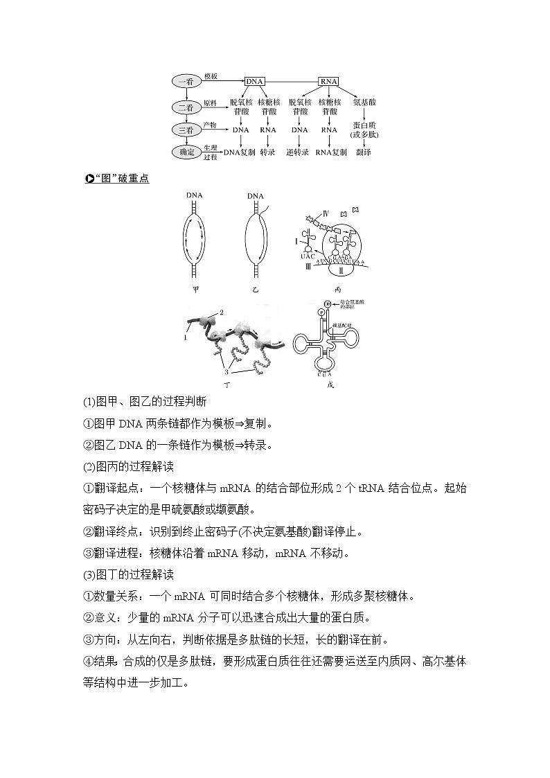 2019创新设计高考生物一轮复习教师用书：必修二第六单元第19讲第3页
