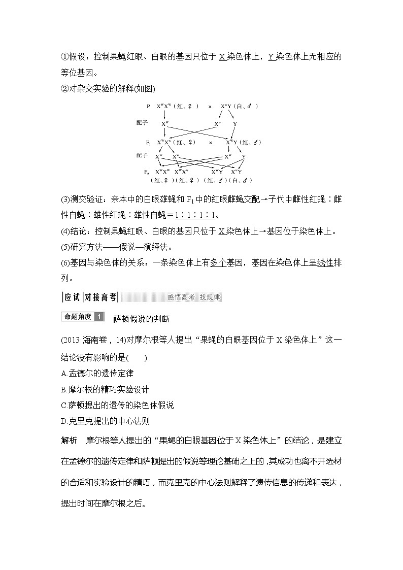2019创新设计高考生物一轮复习教师用书：必修二第五单元第16讲02
