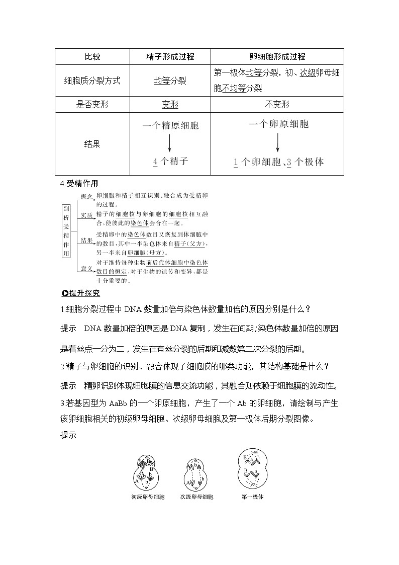 2019创新设计高考生物一轮复习教师用书：必修一第四单元第12讲第2页