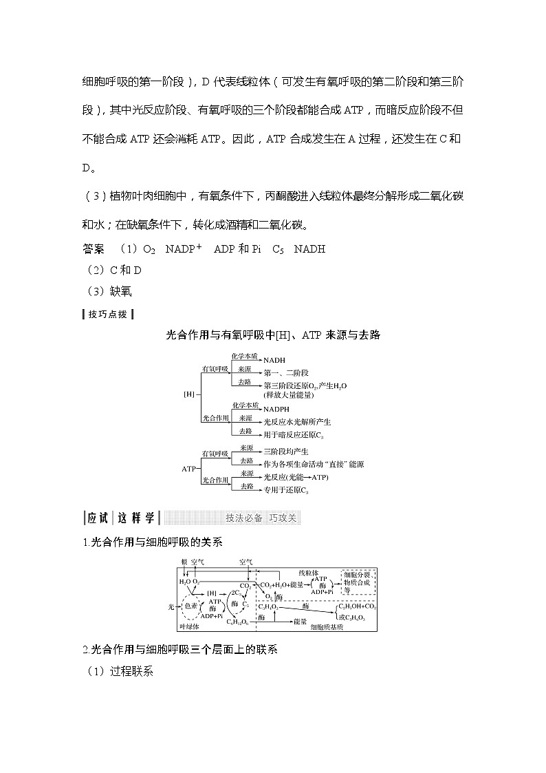 2019创新设计高考生物一轮复习教师用书：考点加强课1第2页