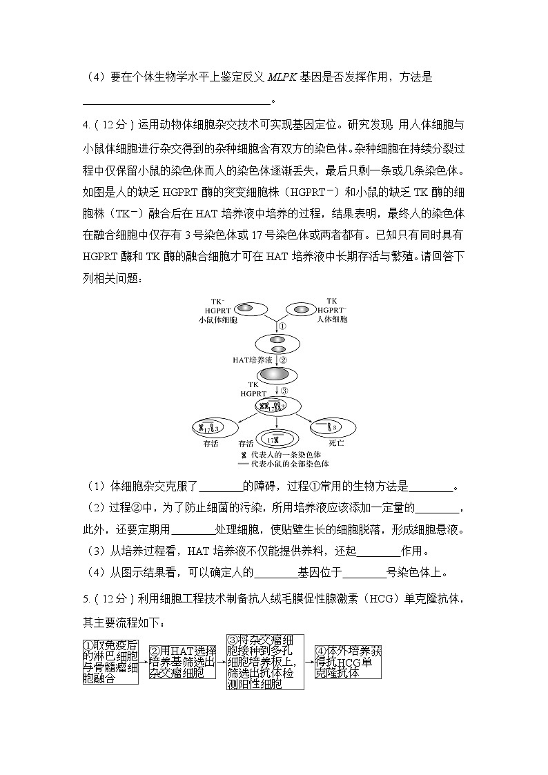 2019创新设计高考生物一轮复习教师用书：模块检测卷（四）03