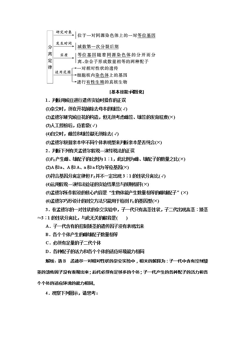 2019三维设计高考生物一轮复习教师用书：必修2 遗传与进化第3页
