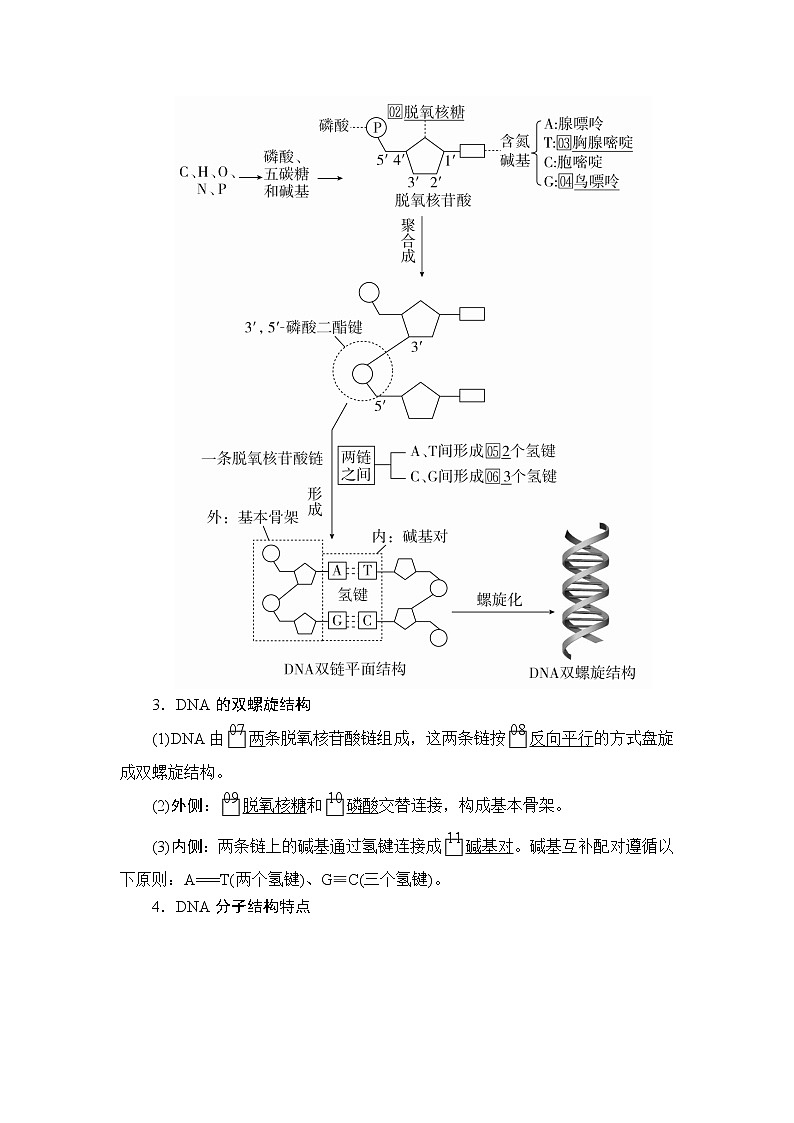 2020年高考生物一轮复习讲义：必修2 第六单元 第20讲 DNA分子的结构和复制、基因的本质第3页