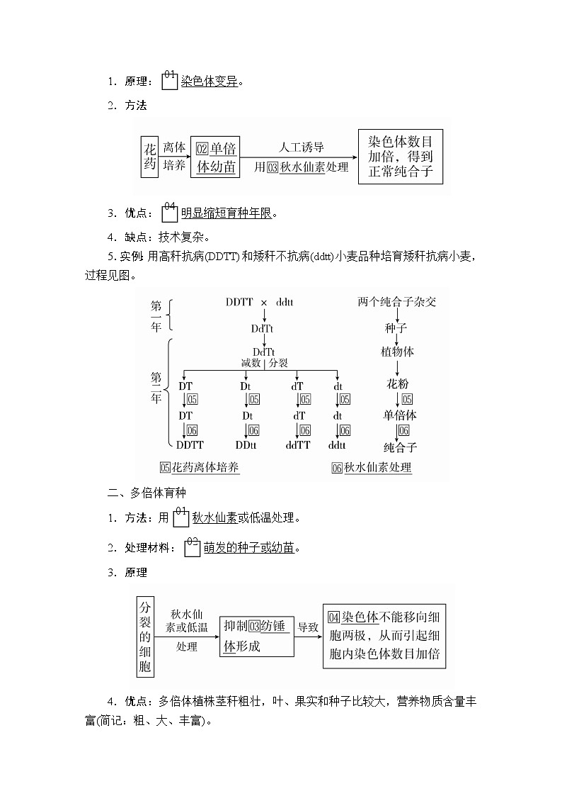 2020年高考生物一轮复习讲义：必修2 第七单元 第23讲 生物变异在育种上的应用 第二课时第2页