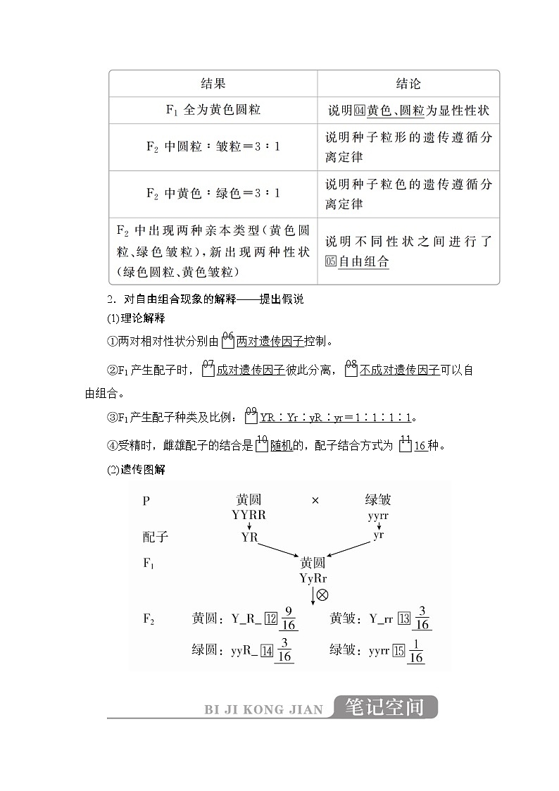 2020年高考生物一轮复习讲义：必修2 第五单元 第16讲 基因的自由组合定律03