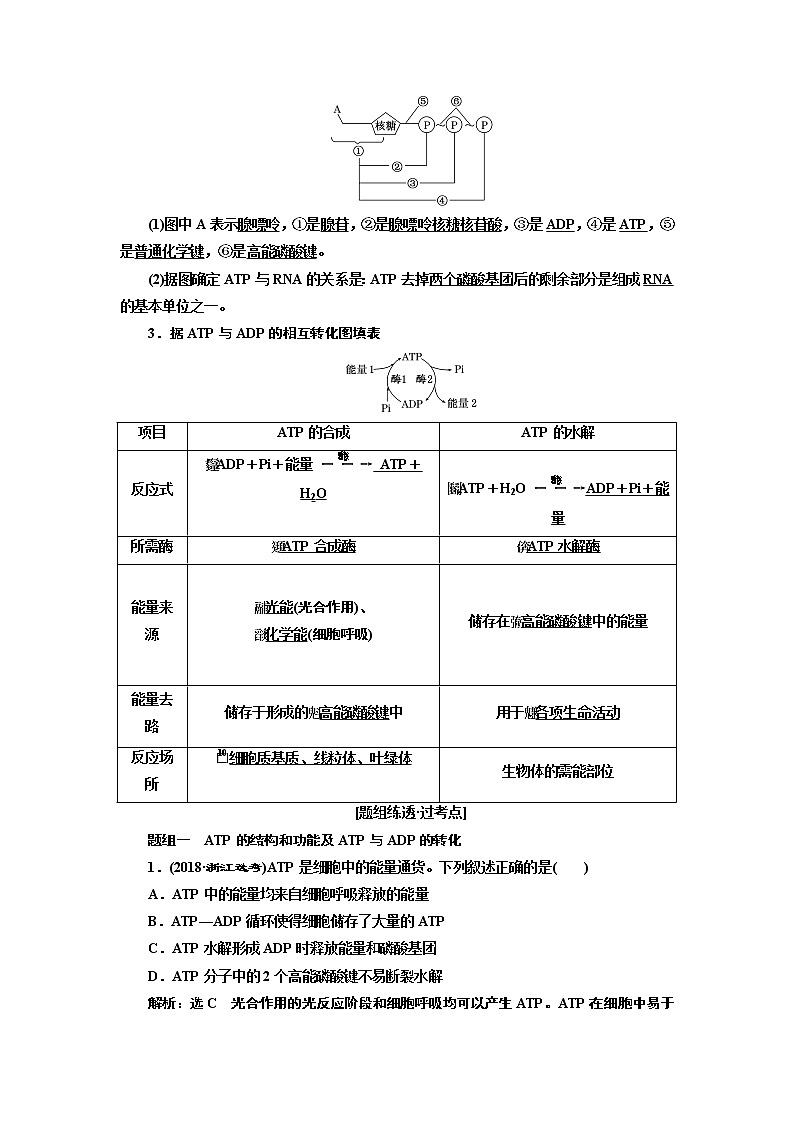 2020版高考一轮复习生物江苏专版讲义：必修1 第三单元 第2讲 ATP与细胞呼吸02