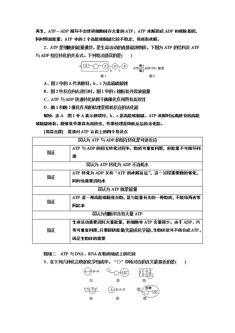2020版高考一轮复习生物江苏专版讲义：必修1 第三单元 第2讲 ATP与细胞呼吸03