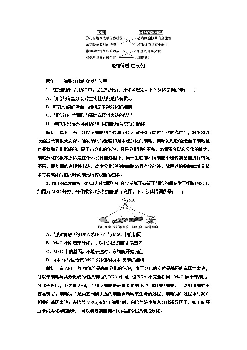 2020版高考一轮复习生物江苏专版讲义：必修1 第四单元 第3讲 细胞的分化、衰老、凋亡和癌变02