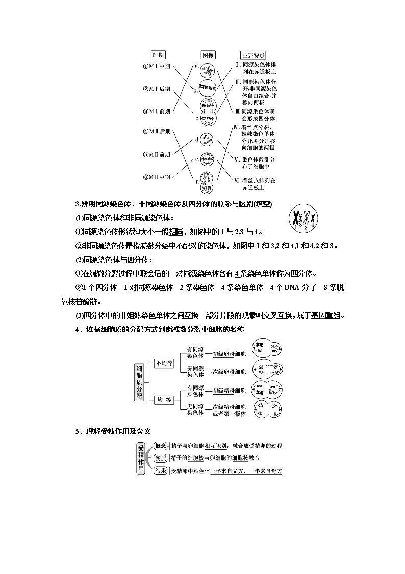 2020版高考一轮复习生物江苏专版讲义：必修1 第四单元 第2讲　减数分裂和受精作用02