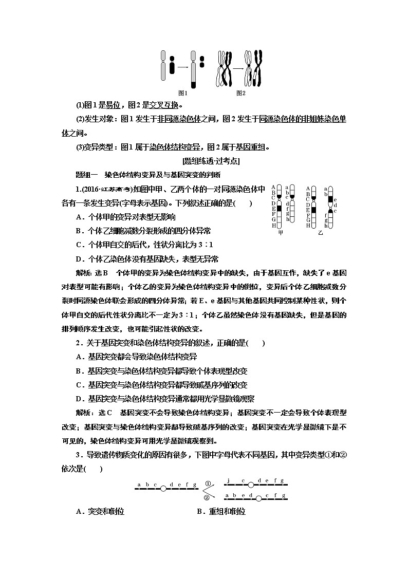 2020版高考一轮复习生物江苏专版讲义：必修2 第三单元 第2讲　染色体变异和生物育种02